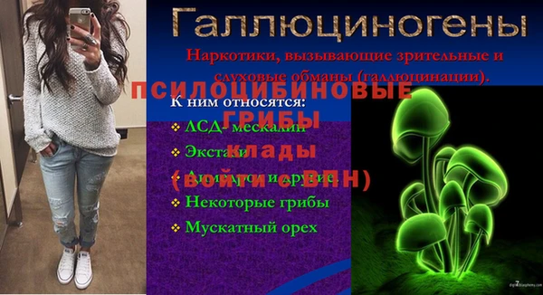 трава Кинешма