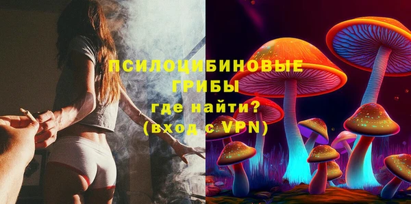 трава Кинешма