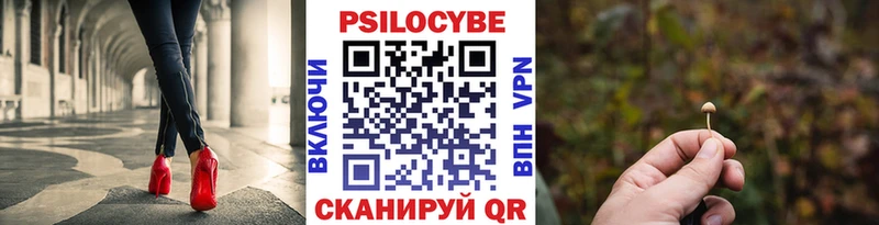Купить закладки  Коряжма  Псилоцибиновые грибы Cubensis 