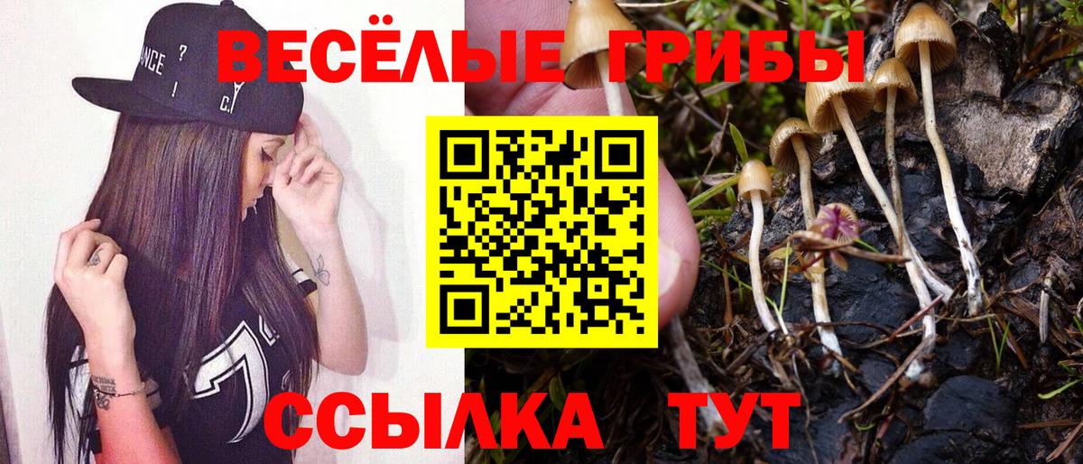 Псилоцибиновые грибы MAGIC MUSHROOMS Коряжма