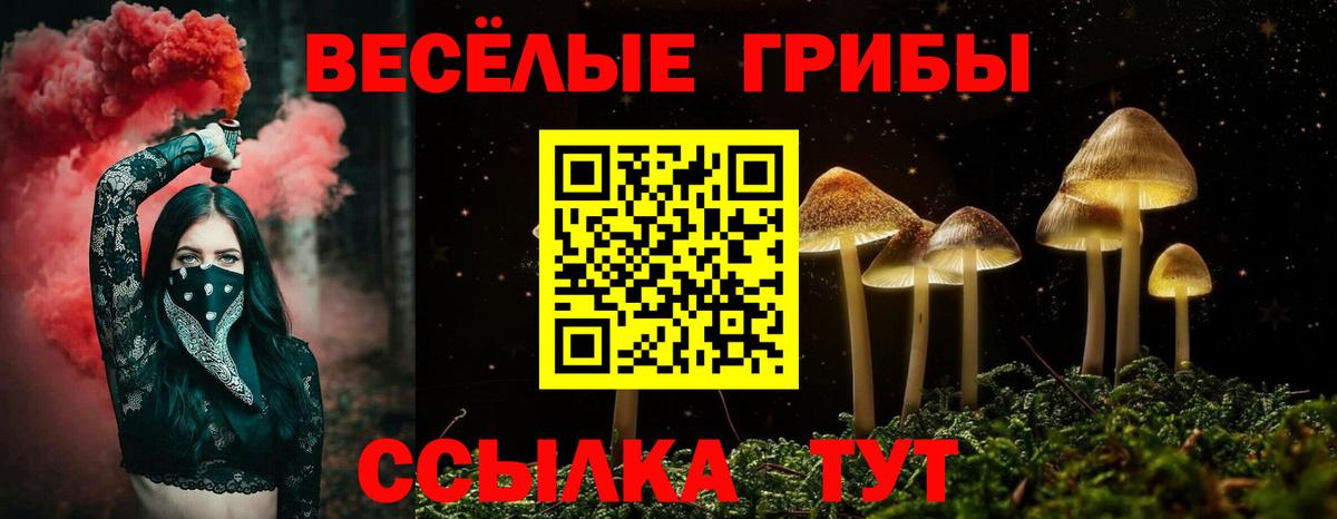 Галлюциногенные грибы MAGIC MUSHROOMS Коряжма
