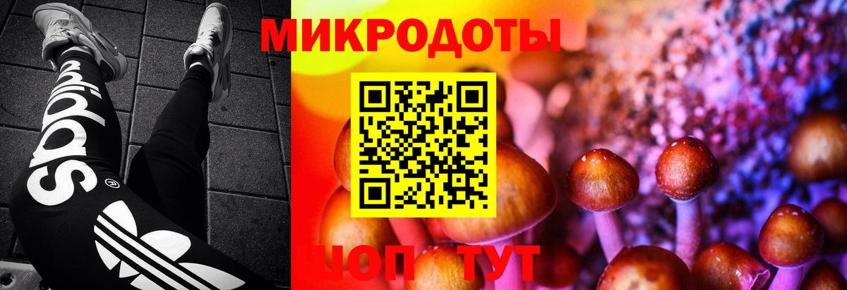 Псилоцибиновые грибы MAGIC MUSHROOMS  Вход с VPN  Коряжма 
